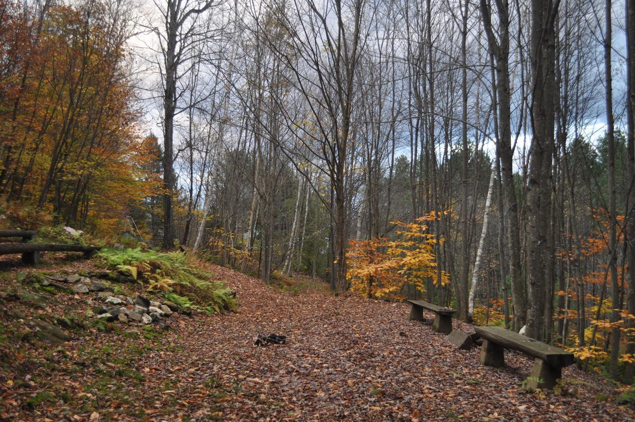 The Woods Lodge Northfield المظهر الخارجي الصورة